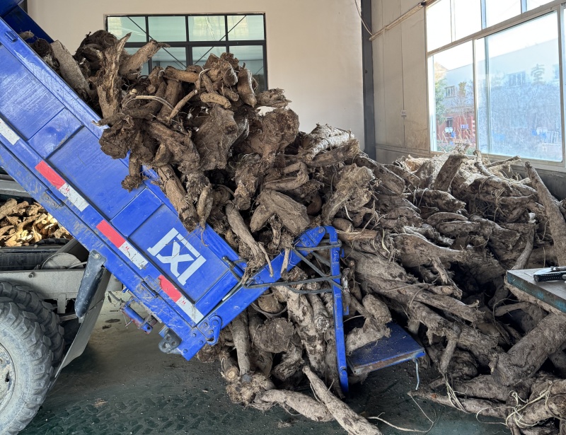 1765258937593888.jpg 微信圖片_20251207160412_102_355.jpg